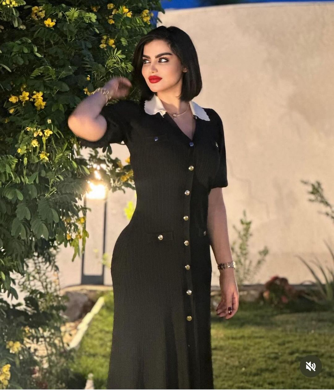 ANIKA | Chic Midi